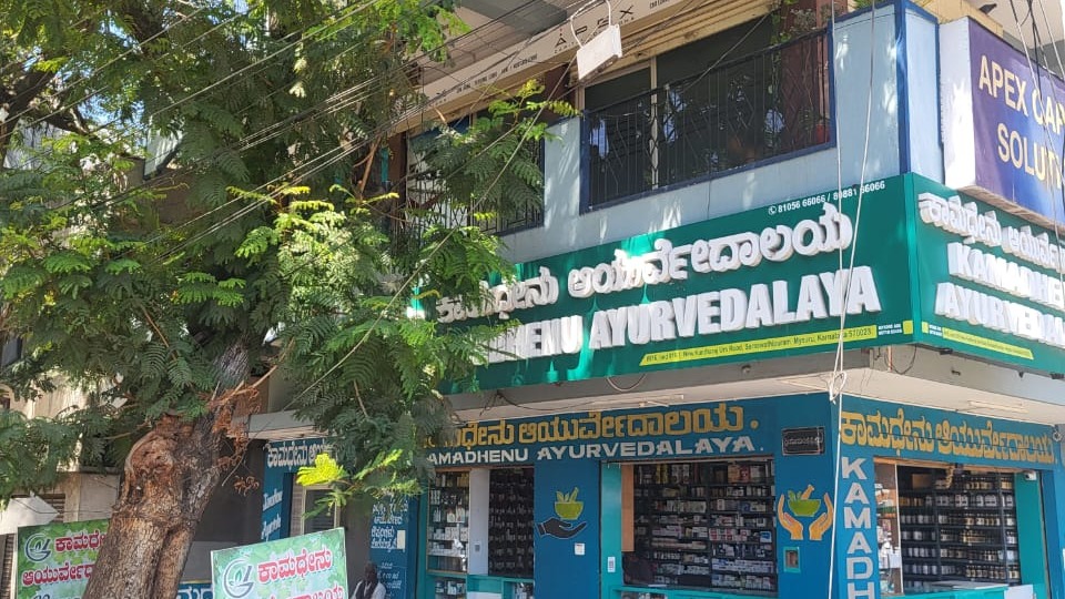 Commercial Property For Sale